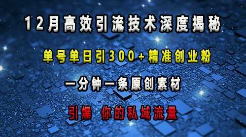最新高效引流技术深度揭秘 ,单号单日引300+精准创业粉,一分钟一条原创素材,引爆你的私域流量-网创项目总站