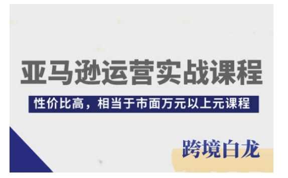 亚马逊运营实战课程,亚马逊从入门到精通,性价比高,相当于市面万元以上元课程-网创项目总站