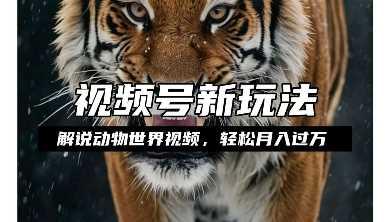 利用动物世界解说视频，赚分成计划收益，轻松月入过W，操作简单【揭秘】-网创项目总站