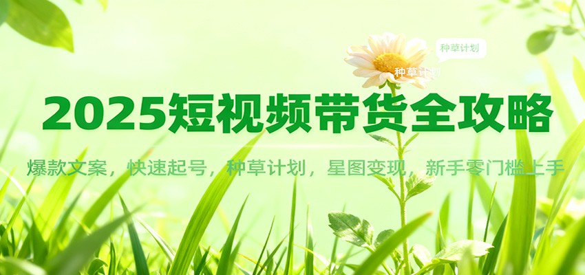 2025短视频带货全攻略：爆款文案，快速起号，种草计划，星图变现，新手零门槛上手-网创项目总站