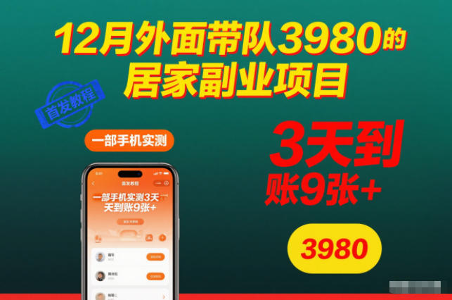 12月外面带队3980的居家副业项目，一部手机实测3天到账9张+，首发教程【揭秘】-网创项目总站