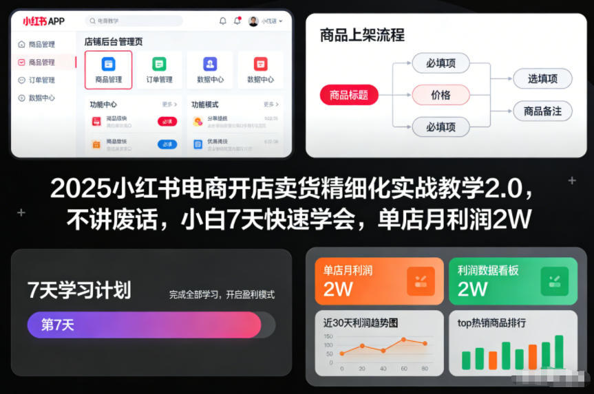 2025小红书电商开店卖货精细化实战教学2.0，不讲废话，小白7天快速学会，单店月利润2W-网创项目总站