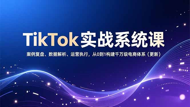 TikTok实战系统课，案例复盘、数据解析、运营执行，从0到1构建千万级电商体系(更新-网创项目总站