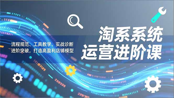 淘系系统运营进阶课2.0，流程规范、工具教学、实战诊断，进阶突破，打造高盈利店铺模型-网创项目总站