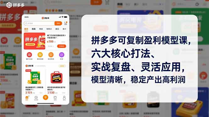 拼多多可复制盈利模型课，六大核心打法、实战复盘、灵活应用，模型清晰，稳定产出高利润-网创项目总站