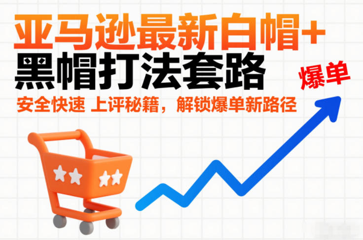 亚马逊最新白帽+黑帽打法套路,安全快速上评秘籍,解锁爆单新路径-网创项目总站