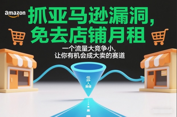 抓亚马逊漏洞，免去店铺月租，一个流量大竞争小，让你有机会成大卖的赛道-网创项目总站