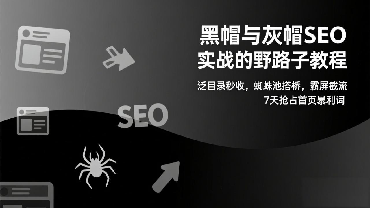 黑帽与灰帽SEO实战的野路子教程：泛目录秒收，蜘蛛池搭桥，霸屏截流，7天抢占首页暴利词-网创项目总站