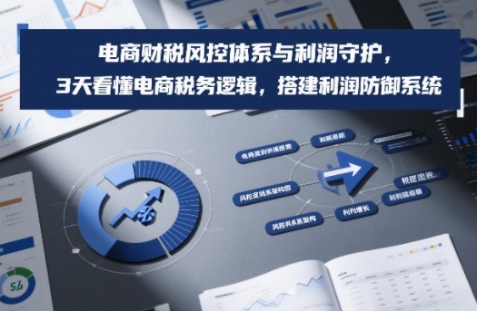 电商财税风控体系与利润守护,3天看懂电商税务逻辑,搭建利润防御系统-网创项目总站