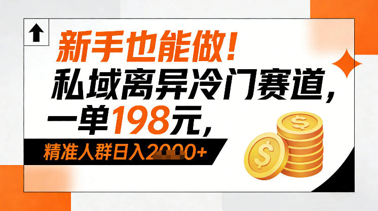 新手也能做！私域离异冷门赛道，一单198，精准人群日入1k+-网创项目总站