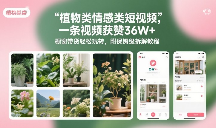 植物类情感类短视频，一条视频获赞36W+，橱窗带货轻松玩转，附保姆级拆解教程-网创项目总站