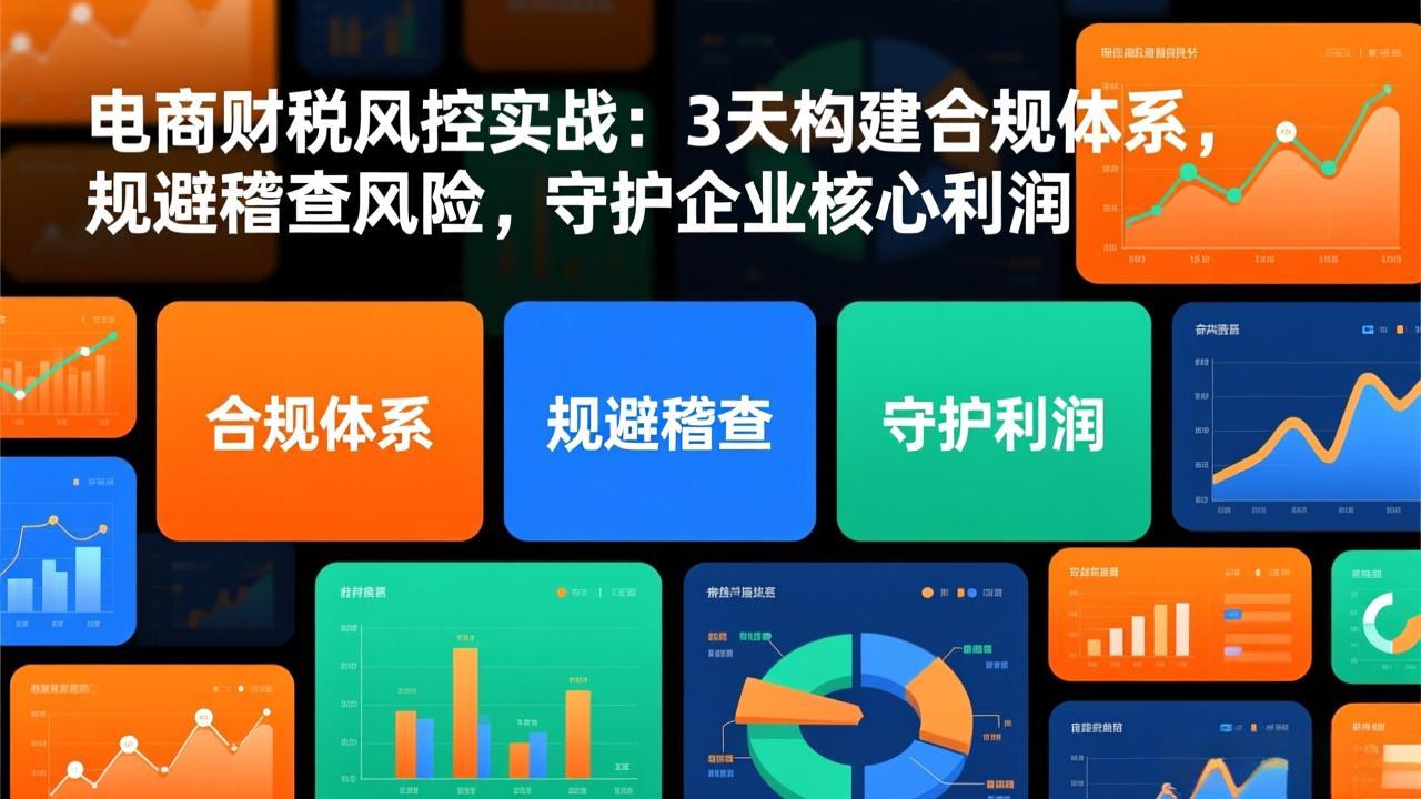 电商财税风控实战：3天构建合规体系，规避稽查风险，守护企业核心利润-网创项目总站