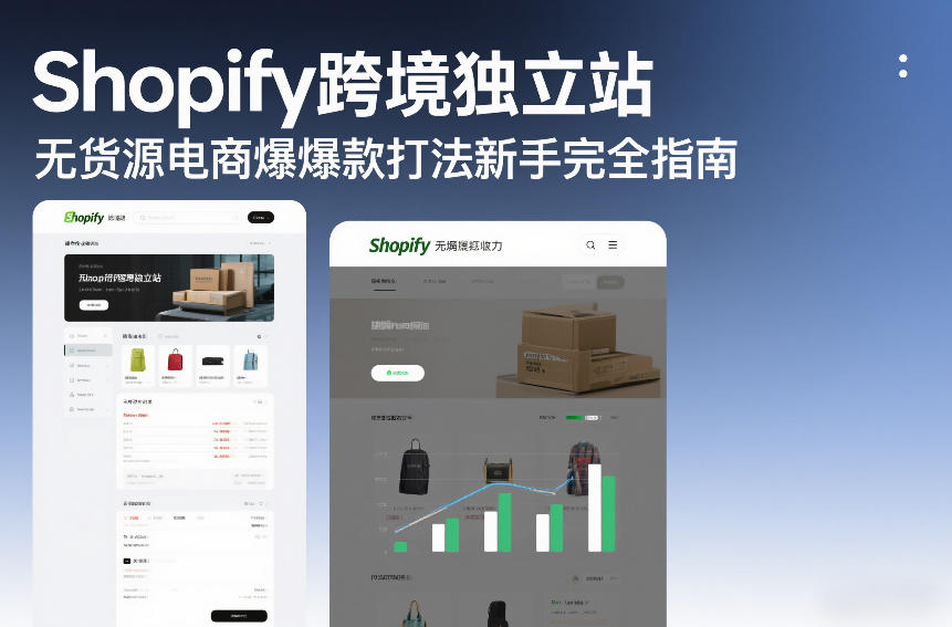Shopify跨境独立站无货源电商爆款打法新手完全指南-网创项目总站
