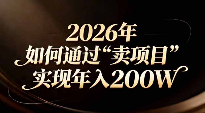 站在2026年的十字路口：一个普通人如何通过卖项目实现年入200万-网创项目总站