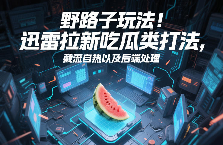 野路子玩法!迅雷拉新吃瓜类打法,截流自热以及后端处理-网创项目总站