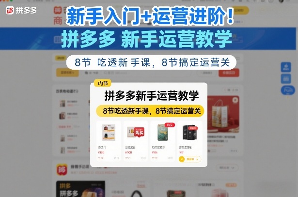 新手入门+运营进阶！拼多多新手运营教学，8节吃透新手课，8节搞定运营关-网创项目总站