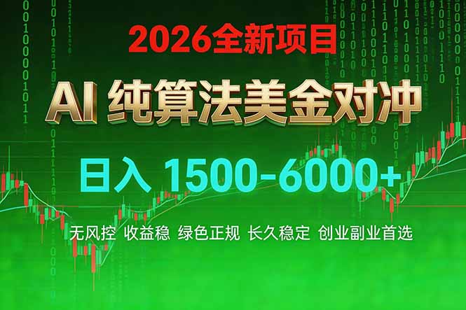 2026 全新美金对冲项目，不套平台赠金，不封号，纯算法对冲，日入 1500-6000+-网创项目总站