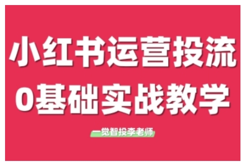 小红书运营投流，小红书广告投放从0到1的实战课，学完即可开始投放(更新26年)-网创项目总站