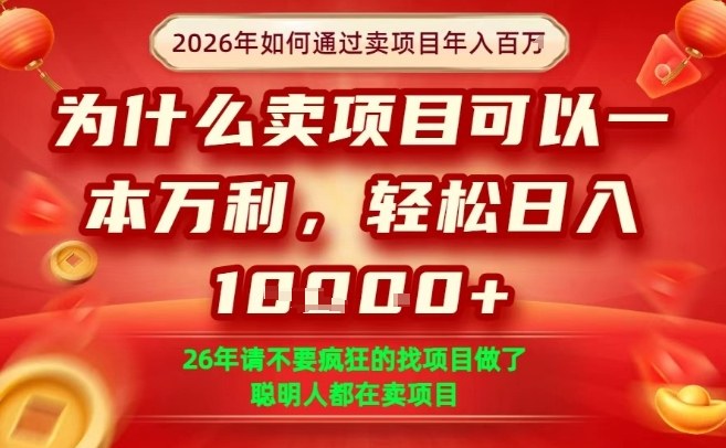 一单净利润1K+，26年想年入100个W，死磕卖项目就够了【揭秘】-网创项目总站