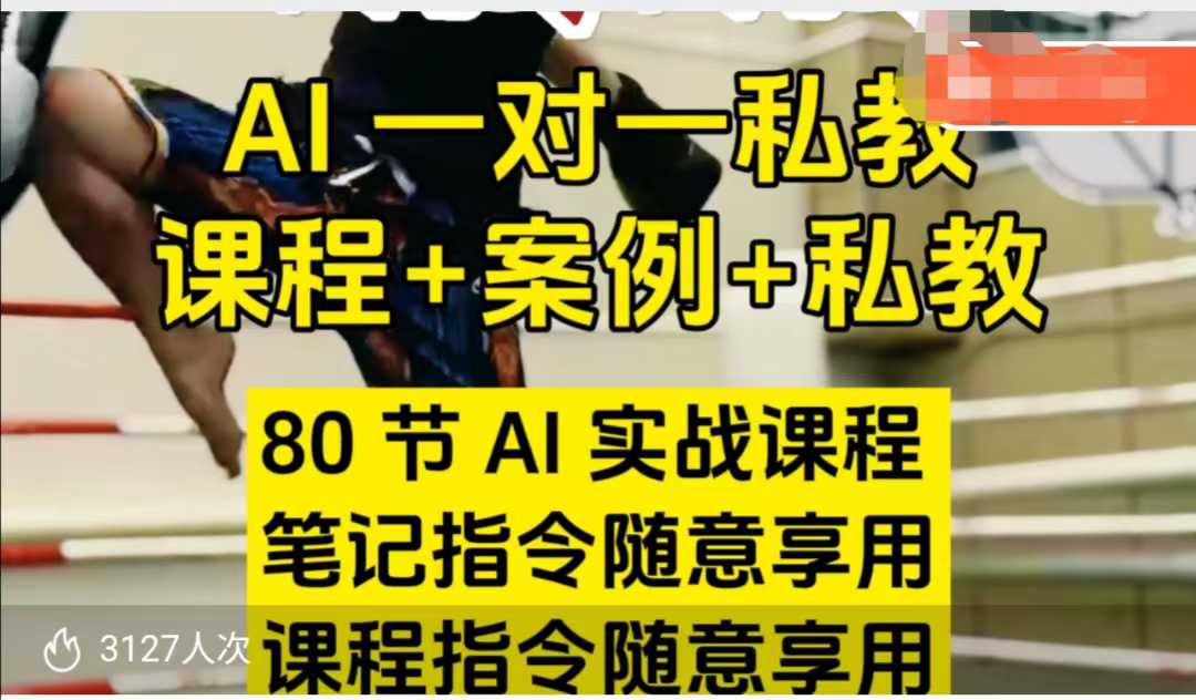 AI指令实战课,课程+案例,80节AI实战课程,笔记指令随意享用,课程指令随意享用(更新26年3月)-网创项目总站