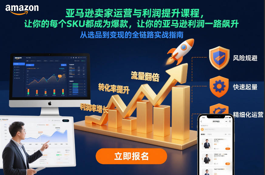 亚马逊卖家运营与利润提升课程，让你的每个SKU都成为爆款，让你的亚马逊利润一路飙升(更新26年3月)-网创项目总站