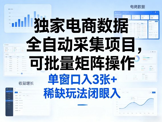 独家电商数据全自动采集项目，可批量矩阵操作，单窗口日入3张+，稀缺玩法闭眼入【揭秘】-网创项目总站