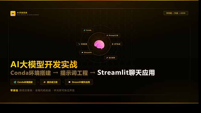 AI大模型开发实战：Conda环境搭建→提示词工程→Streamlit聊天应用，零基础到项目落地-网创项目总站