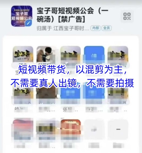 宝子哥头部团队短视频带货，以混剪为主，不需要真人出镜，不需要拍摄【更新26年3月】-网创项目总站