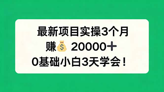 最新项目实操3个月，赚钱20000+，0基础小白3天学会！-网创项目总站