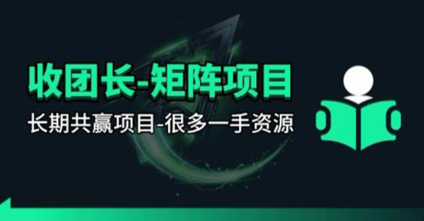 【团长合作】视频矩阵项目_招发手矩阵+剪辑师，共赢项目【揭秘】-网创项目总站