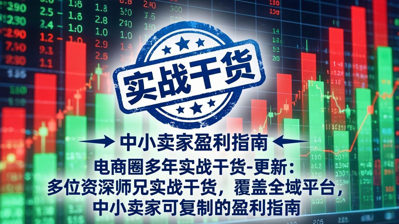 电商圈多年实战干货-更新5月10：多位资深师兄实战干货/覆盖全域平台，中小卖家可复制的盈利指南-网创项目总站