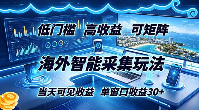 海外智能采集玩法，低门槛高单价可矩阵，当天可见收益，单窗口30+-网创项目总站