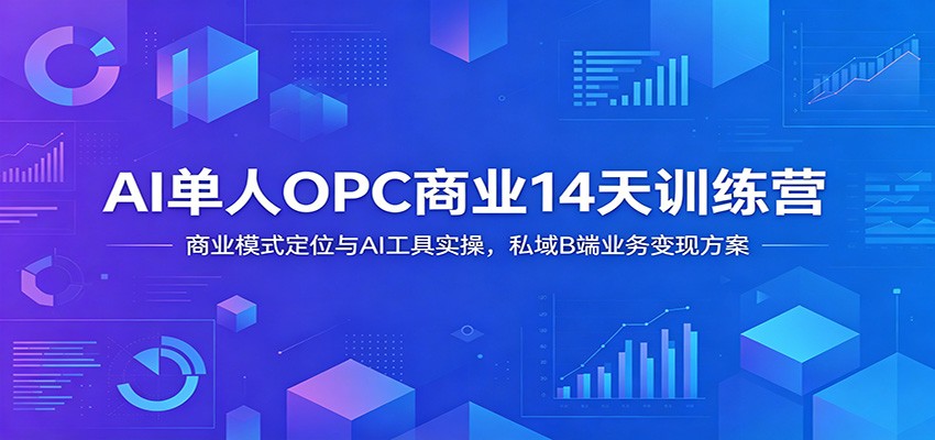 AI单人OPC商业14天训练营：商业模式定位与AI工具实操，私域B端业务变现方案-网创项目总站