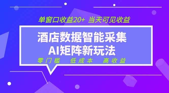 2026酒店数据采集ai智能矩阵新风口 低成本 高收益 当天见收益 单窗口20+-网创项目总站