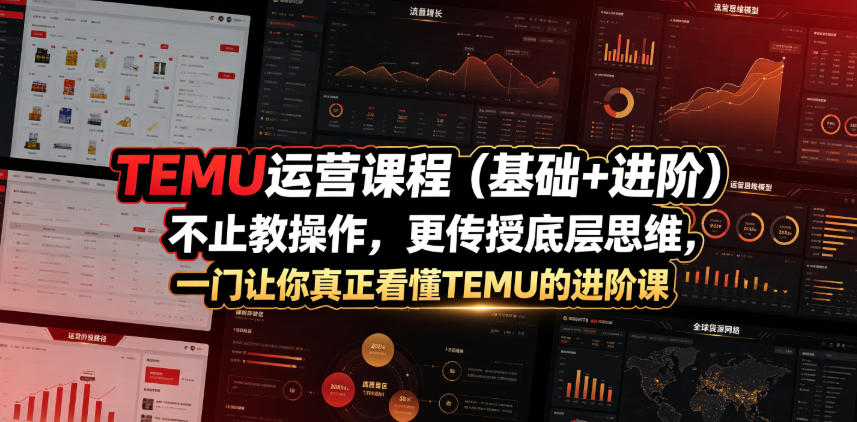 TEMU运营课程(基础+进阶)，不止教操作，更传授底层思维，一门让你真正看懂TEMU的进阶课-网创项目总站