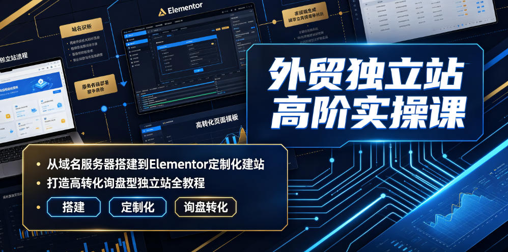 外贸独立站高阶实操课｜从域名服务器搭建到Elementor定制化建站，打造高转化询盘型独立站全教程-网创项目总站