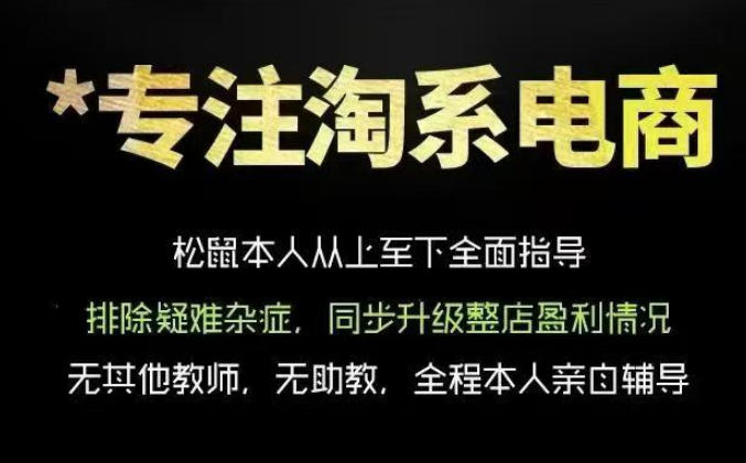 松鼠会电商VIP课程，从基础布局到高阶优化，助你掌握淘宝运营逻辑，提升店铺流量与转化(更新0711)-网创项目总站