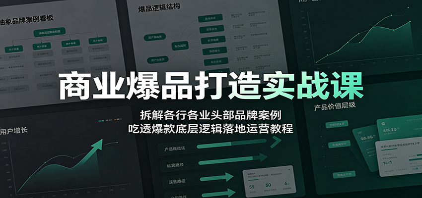 商业爆品打造实战课：拆解各行各业头部品牌案例，吃透爆款底层逻辑落地运营教程-网创项目总站